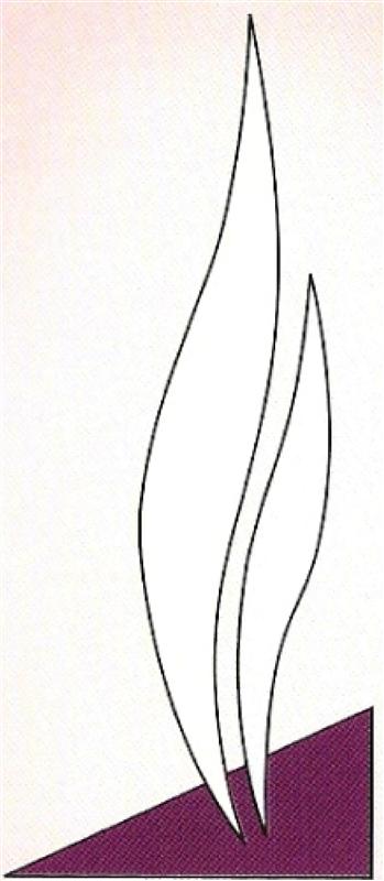 Photo 403661
